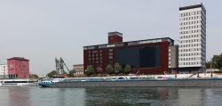 n1_22.9._Schiff_MA_41