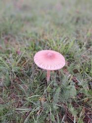 c3_20241013_103307