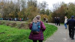 b1_2.11.24_Nachtwanderung_Eich_4