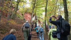 c1_19.10.25_Eppenbrunn_Altschloßfelsen_22
