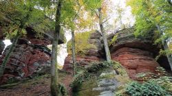 d1_19.10.25_Eppenbrunn_Altschloßfelsen_25