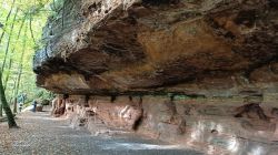 f1_19.10.25_Eppenbrunn_Altschloßfelsen_42