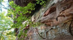 f4_19.10.25_Eppenbrunn_Altschloßfelsen_59