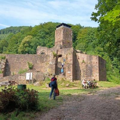 E1 Neckarsteinach 20.7.25 16