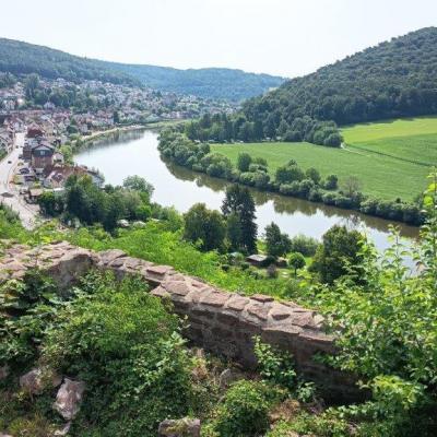 F1 Neckarsteinach 20.7.25 18