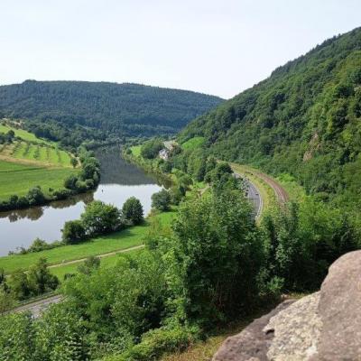 G1 Neckarsteinach 20.7.25 19