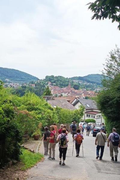 O1 Neckarsteinach 20.7.25 44