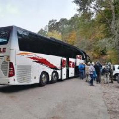 Eppenbrunn (Nähe Dahn) – Altschlossfelsen am Sonntag, d. 19. Oktober 2025