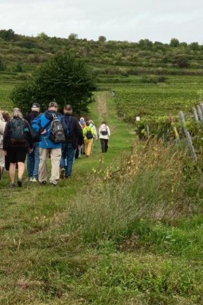 B1 21.9.25 Zellertal Weingut Lull 10