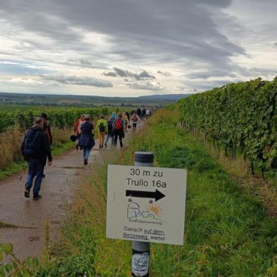 D1 21.9.25 Zellertal Weingut Lull 28