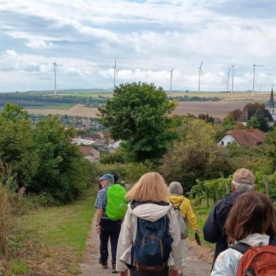 F1 21.9.25 Zellertal Weingut Lull 43