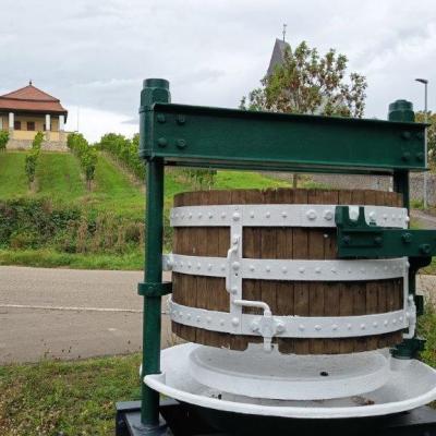 H1 21.9.25 Zellertal Weingut Lull 64