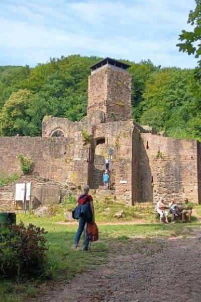 E1 Neckarsteinach 20.7.25 16