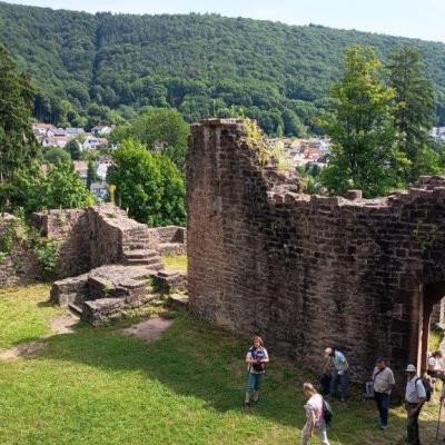 L1 Neckarsteinach 20.7.25 25