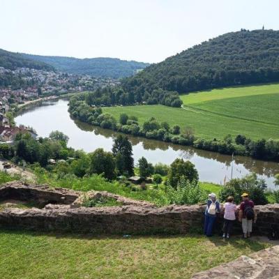 M1 Neckarsteinach 20.7.25 28