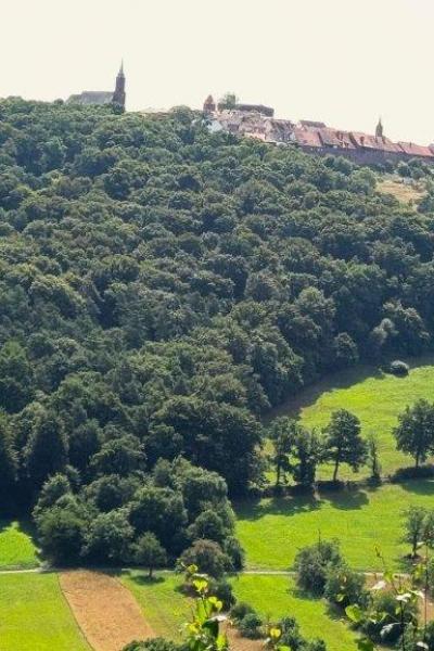 N1 Neckarsteinach 20.7.25 36