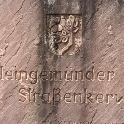 P1 Neckarsteinach 20.7.25 46