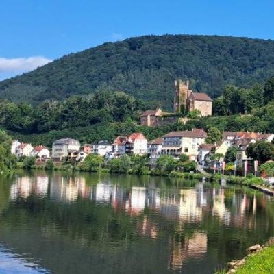 Wanderung Neckarsteinach - Neckargemünd - 4-Burgen-Wanderung am Sonntag, den 20. Juli 2025