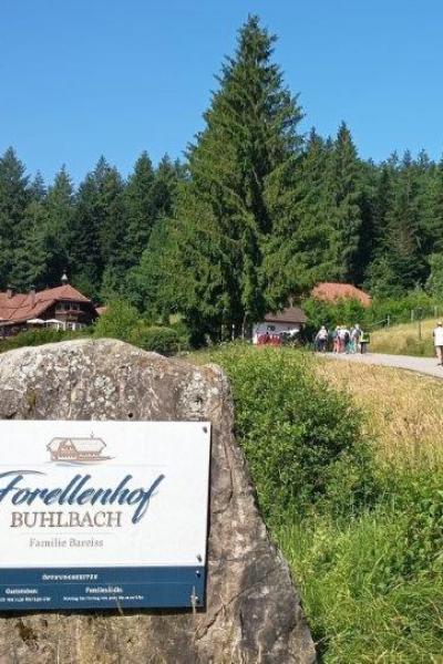 A1 Pwv 19 22.6.25 Waldachtal 8