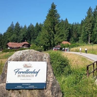 Vier-Tages-Fahrt nach Lützenhardt/Waldachtal im Nordschwarzwald vom 19.06. - 22.06.2025