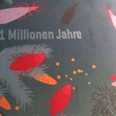 M1 25.5.25 Messel 41