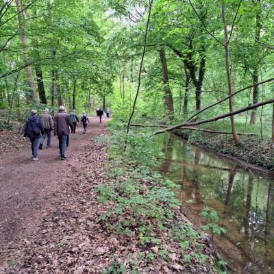 P 20250426 125212 Resized