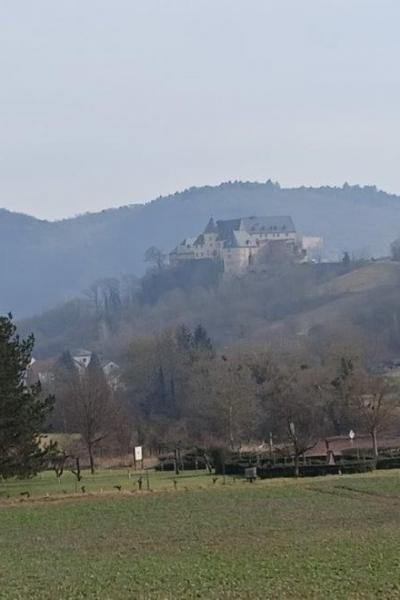 B1 22.2.25 Bad Kreuznach 3