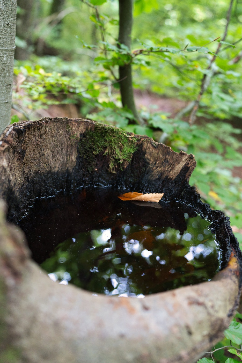 photo 2025 04 10 22 19 44