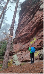 photo 2025 04 10 22 19 52