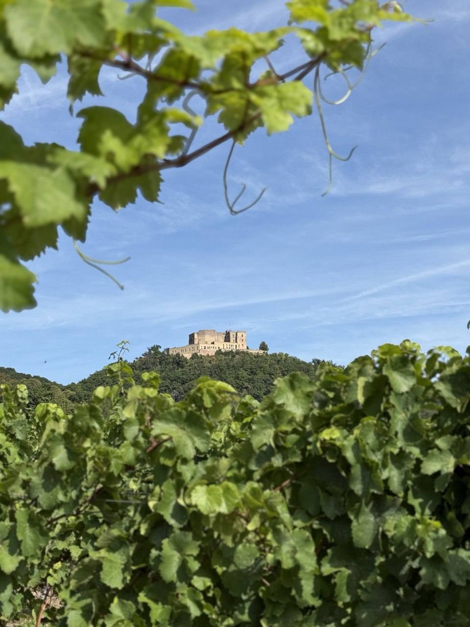 photo 2025 04 10 22 19 44