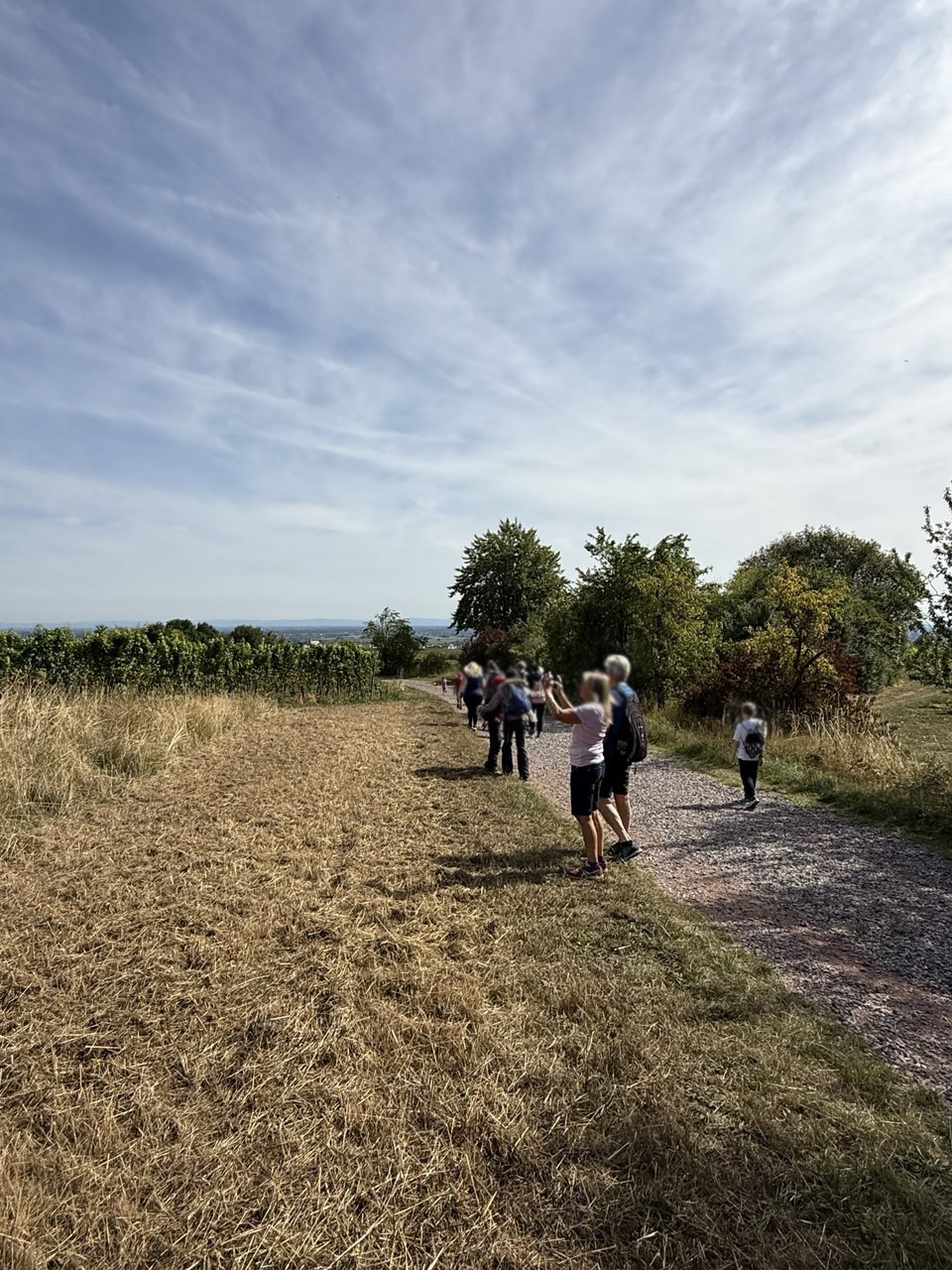 photo 2025 04 10 22 19 52